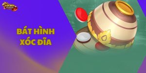 Bát hình xóc đĩa