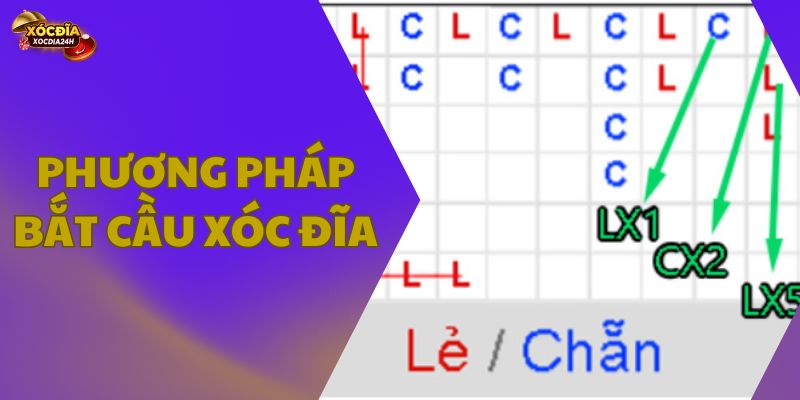 Phương pháp bắt cầu xóc đĩa